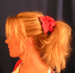 The pony tail hair style created with samantha's scrunchie comb